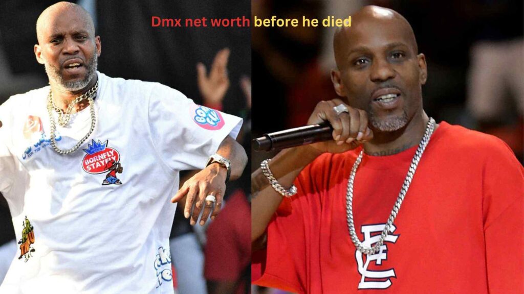 how much is dmx worth 2021